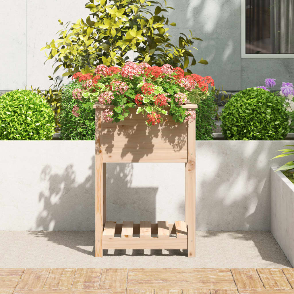 Plantekasse med hylle 54x54x81 cm heltre furu