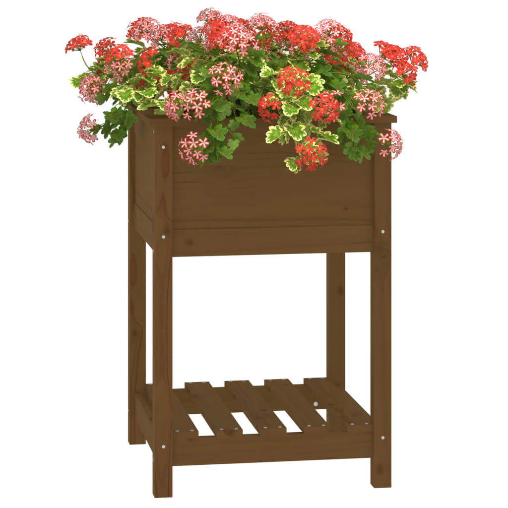 Plantekasse med hylle honningbrun 54x54x81 cm heltre furu