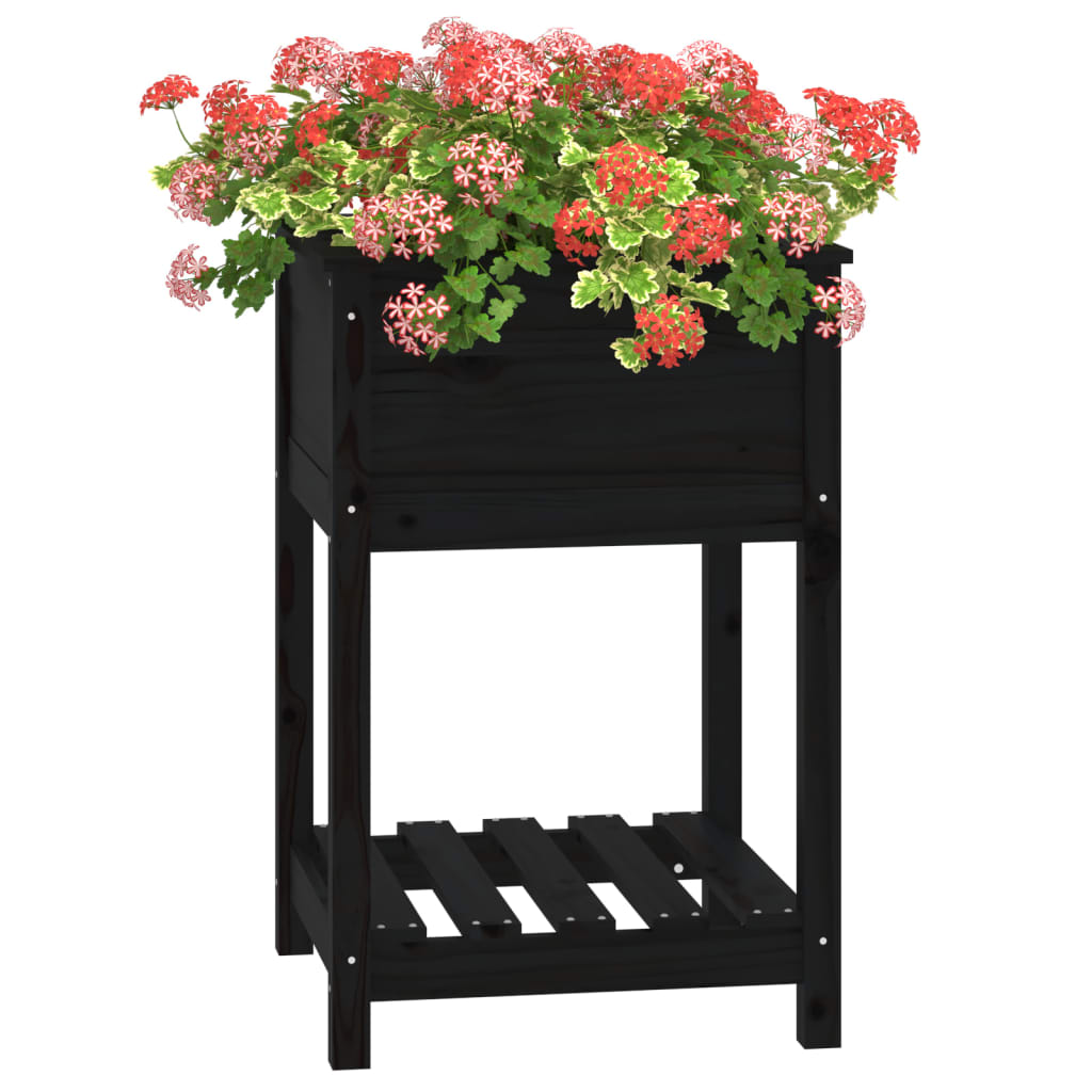 Plantekasse med hylle svart 54x54x81 cm heltre furu