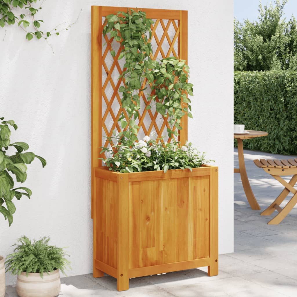 Plantekasse med espalier 55x29,5x132 cm heltre akasie