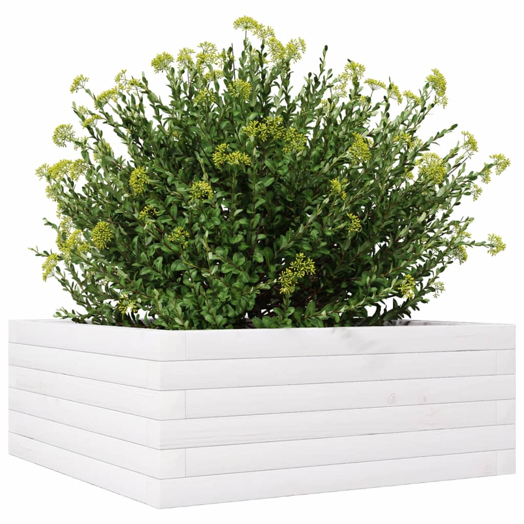 Plantekasse hvit 60x60x23 cm heltre furu