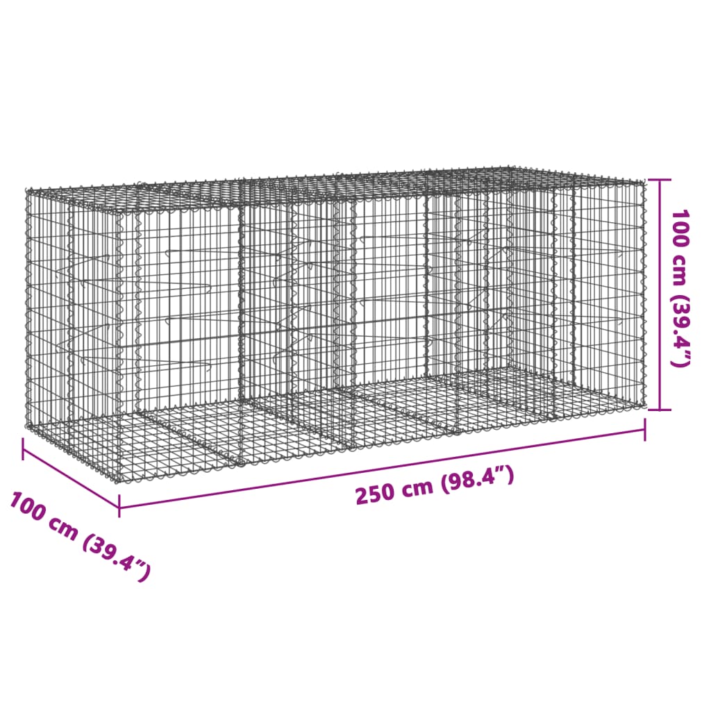 Gabionkurv med deksel 250x100x100 cm galvanisert jern