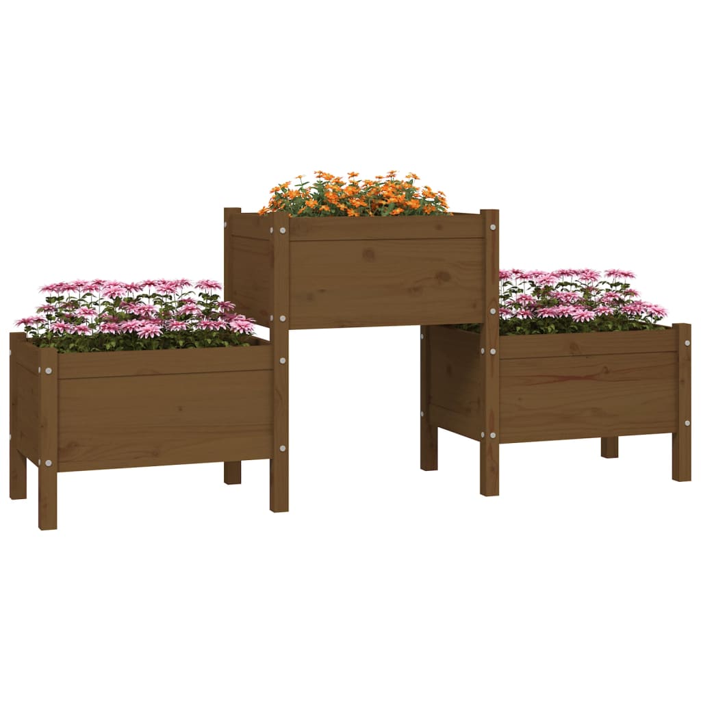 Plantekasse honningbrun 178,5x44x75 cm heltre furu
