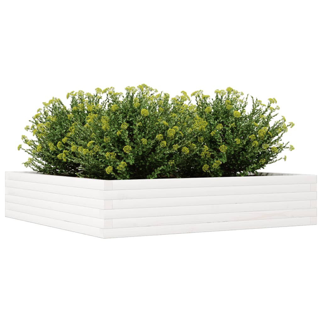 Plantekasse hvit 110x110x23 cm heltre furu
