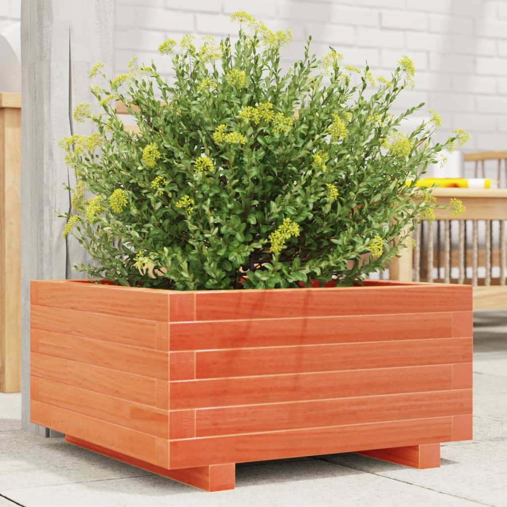 Plantekasse voksbrun 50x50x26,5 cm heltre furu